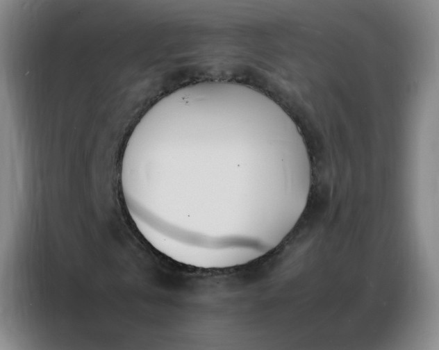 X0000088130769200705211115