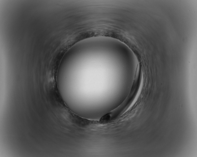 X0000088130771200705211115