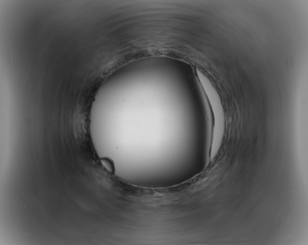 X0000088130772200705211115