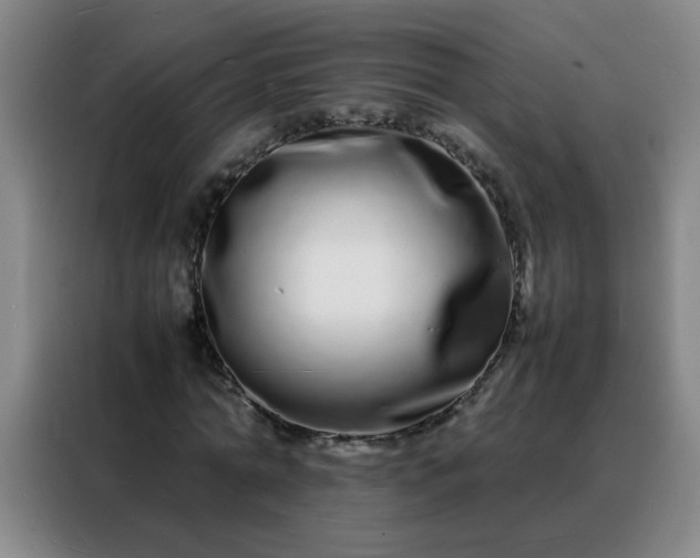 X0000088130774200705211115