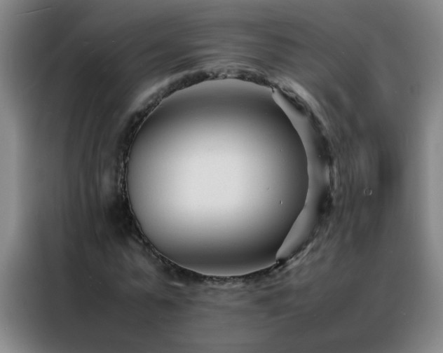 X0000088130775200705211115