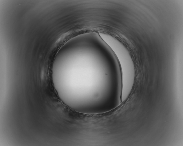 X0000088130776200705211115