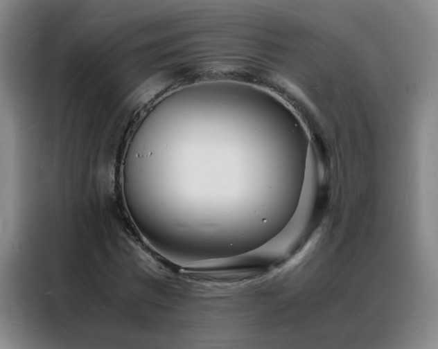 X0000088130777200705211115