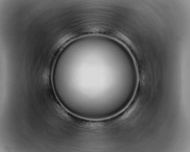 X0000088130778200705211115