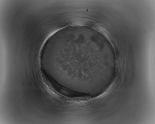 X0000088130779200705211115