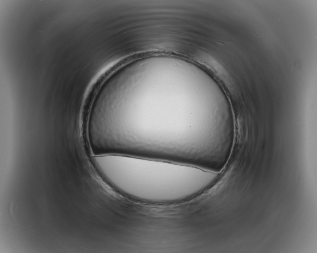 X0000088130780200705211115