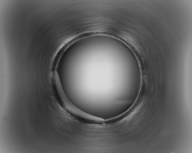 X0000088130781200705211115