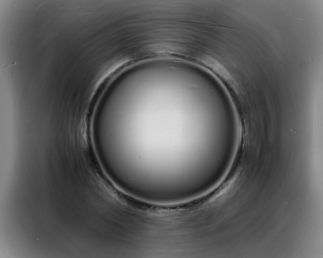 X0000088130782200705211115