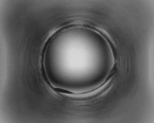 X0000088130783200705211115