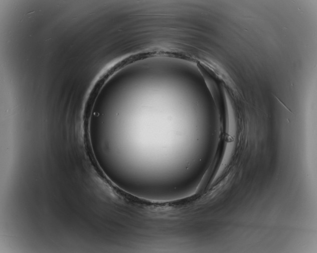 X0000088130784200705211115