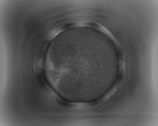 X0000088130785200705211115