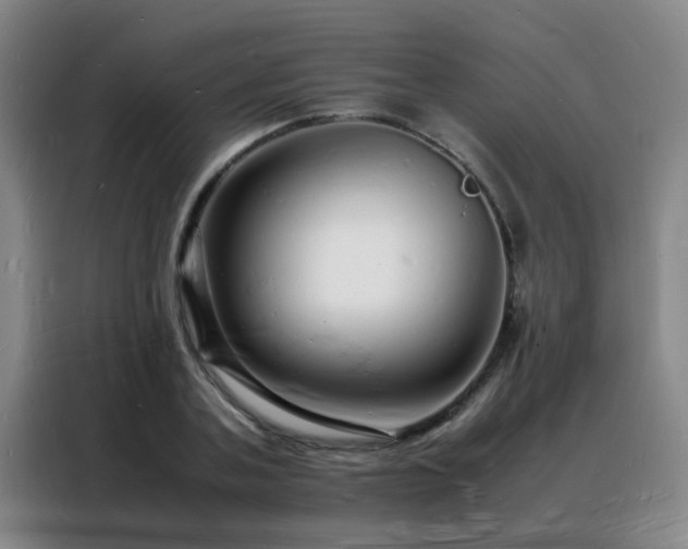 X0000088130787200705211115