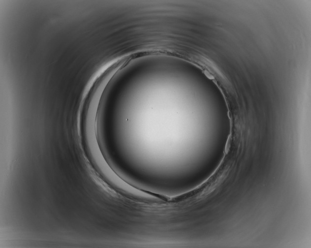 X0000088130788200705211115