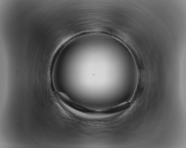 X0000088130789200705211115