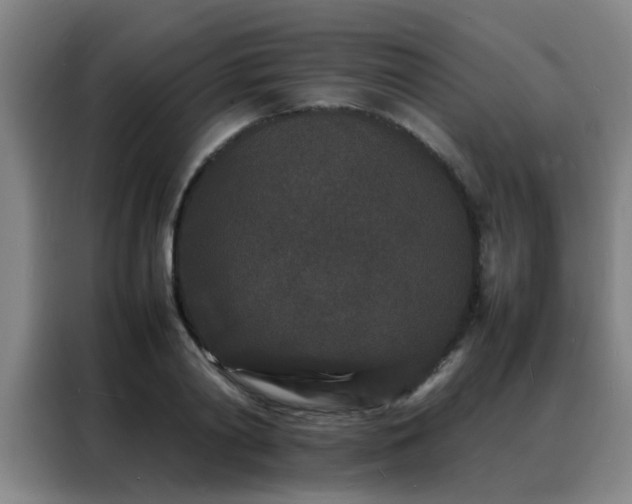 X0000088130790200705211115