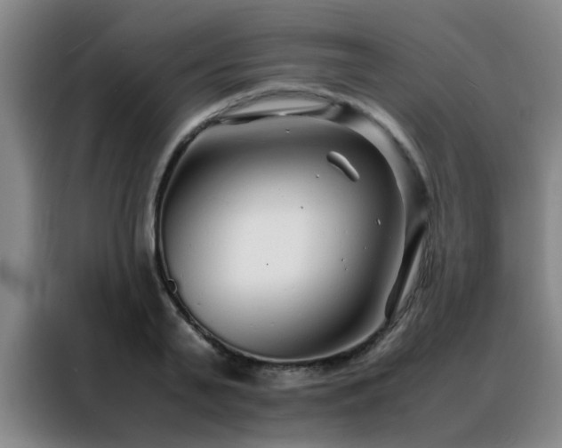 X0000088130791200705211115