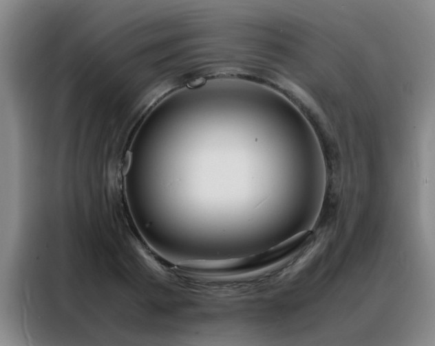 X0000088130793200705211115