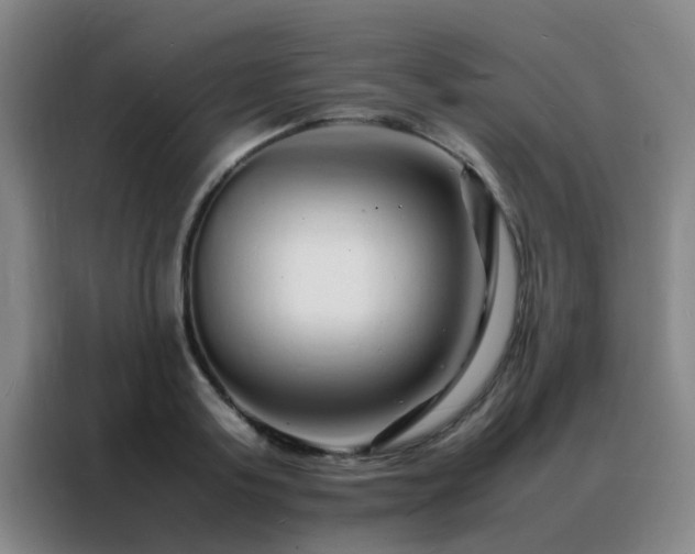 X0000088130795200705211114