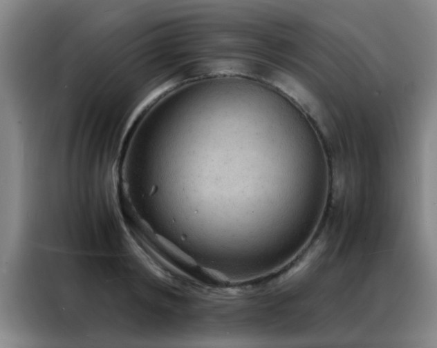 X0000088130798200705211114