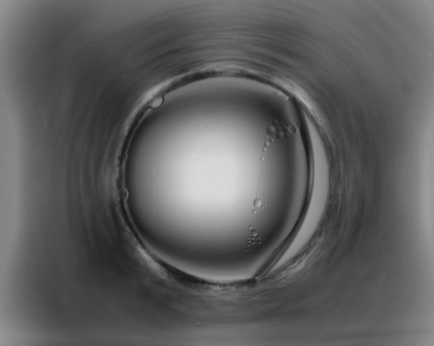 X0000088130799200705211114