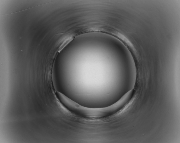 X0000088130801200705211114