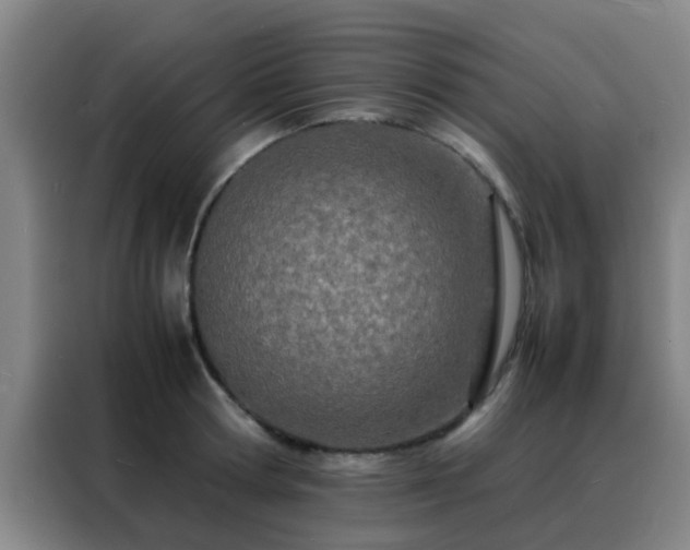 X0000088130802200705211114