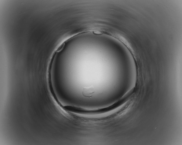 X0000088130803200705211114