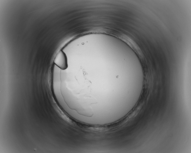 X0000088130804200705211114