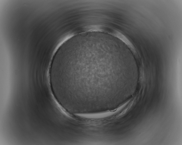 X0000088130806200705211114