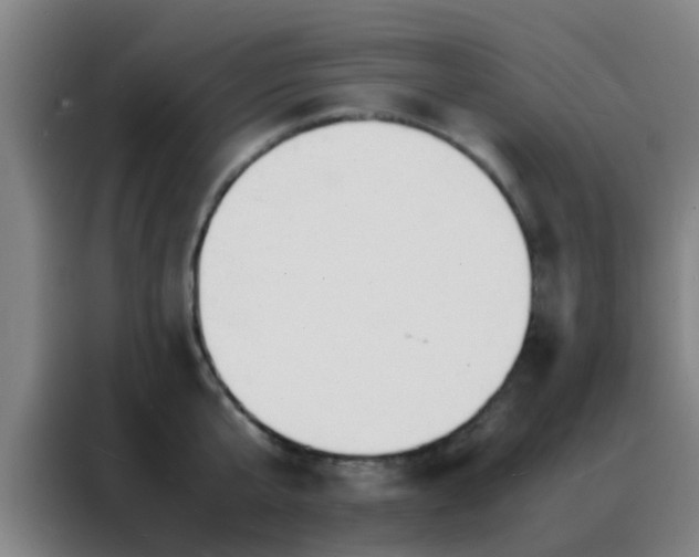 X0000088130807200705211114