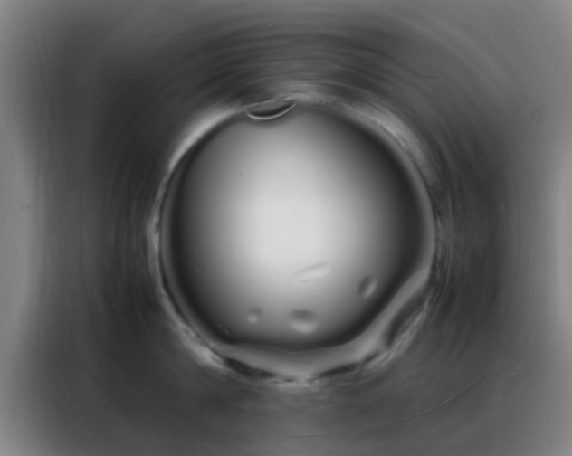 X0000088130814200705211114