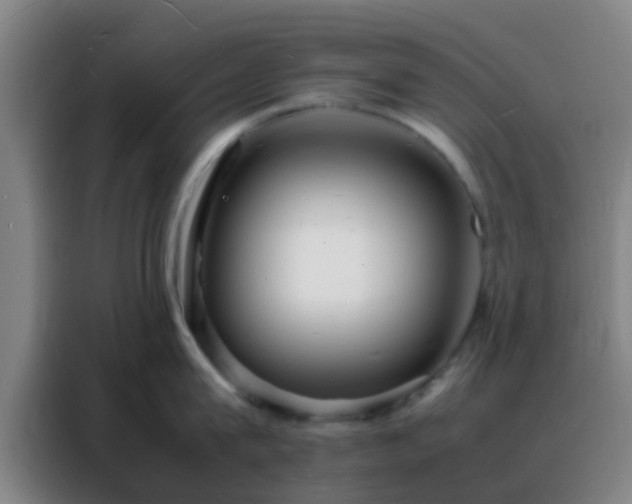 X0000088130815200705211114