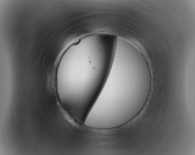 X0000088130816200705211114