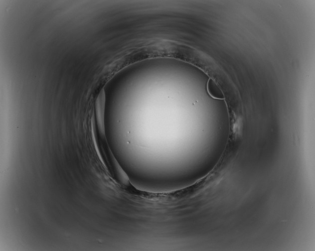 X0000088130819200705211114