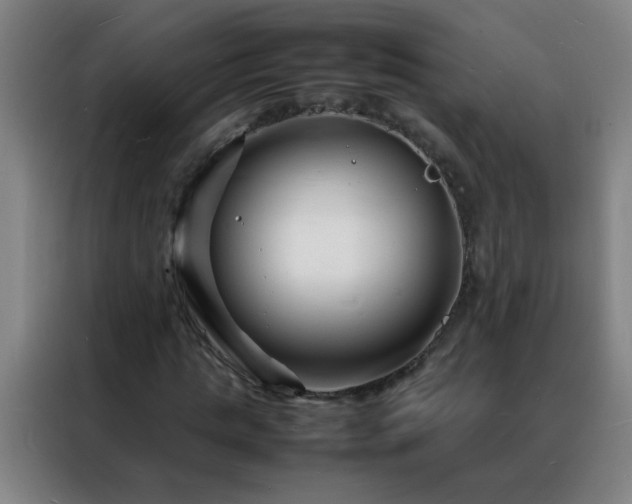 X0000088130821200705211114