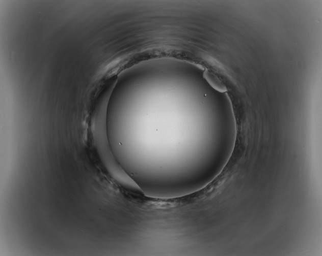 X0000088130822200705211114