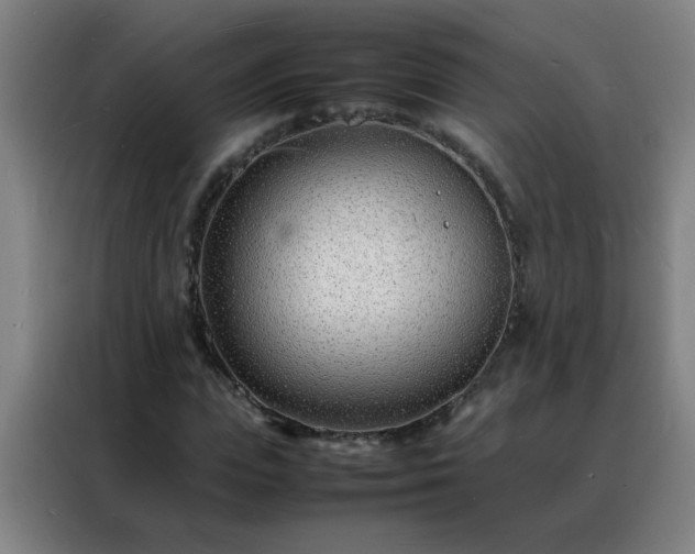 X0000088130823200705211114