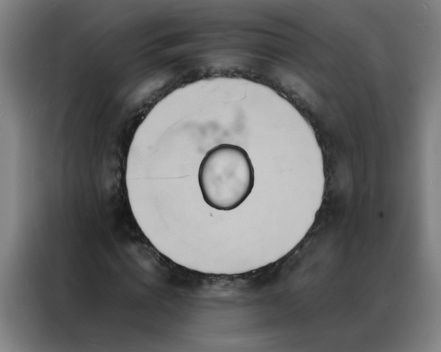 X0000088130824200705211114