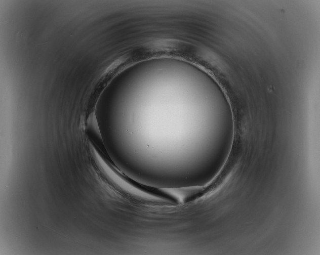 X0000088130825200705211114