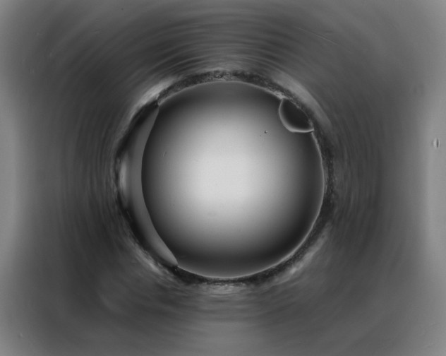 X0000088130826200705211114