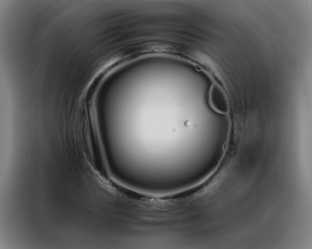 X0000088130827200705211114