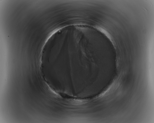 X0000088130829200705211114