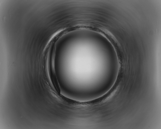 X0000088130830200705211114