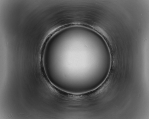 X0000088130831200705211114