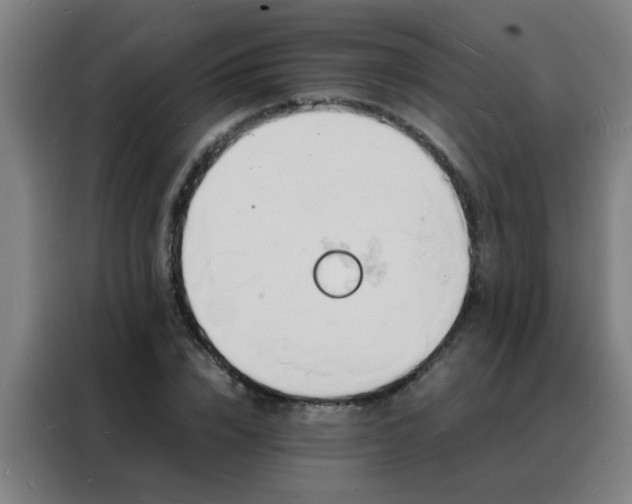 X0000088130832200705211114