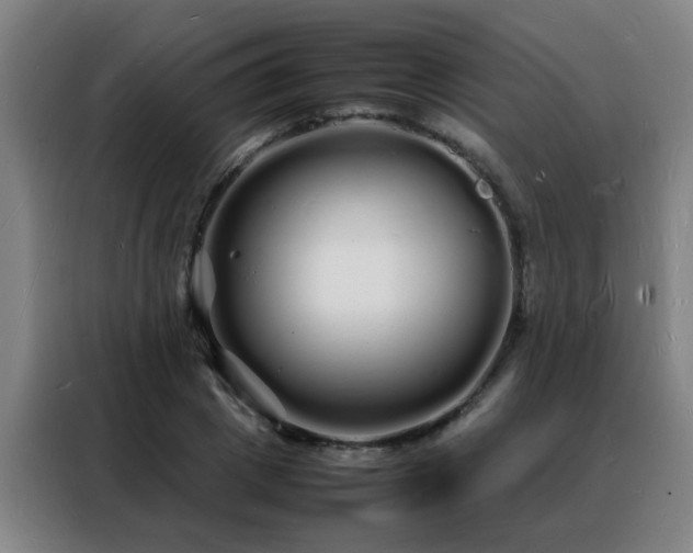 X0000088130833200705211114