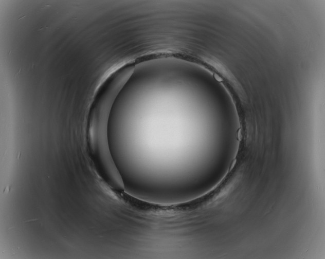 X0000088130834200705211114