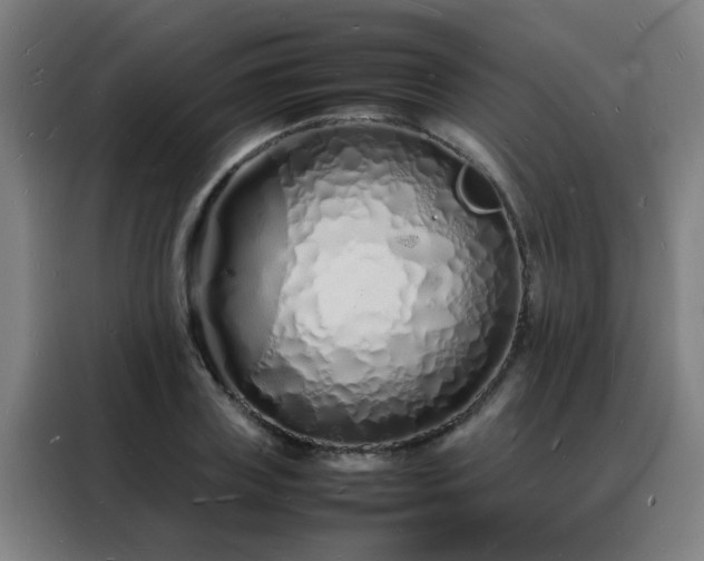 X0000088130835200705211114