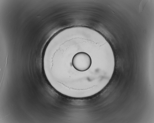 X0000088130836200705211114