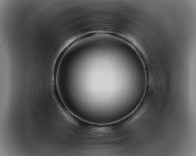 X0000088130837200705211114